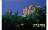 網(wǎng)絡(luò)熱門(mén)純玩游：張家界、天子山、袁家界、楊家界 自助三日游