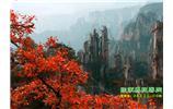 春節(jié)期間：張家界、天子山、金鞭溪自駕車精華精品游