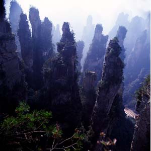 【純玩拼團(tuán)線(xiàn)路】下午班：鳳凰古城、張家界、天子山三晚四日游