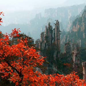 休閑自駕E線(xiàn)：張家界、袁家界、天子山、寶峰湖、鳳凰古城、沱江泛舟四晚五日游