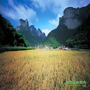 張家界往返純玩散拼：矮寨大橋、德夯苗寨、鳳凰古城、芙蓉鎮(zhèn)二日游